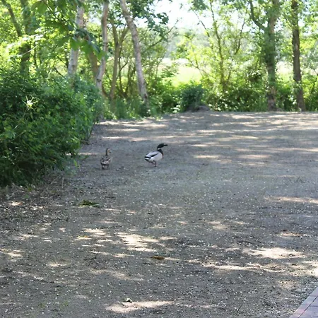 Boehler Haubarg Boehler Stuv 7 * Wittendun