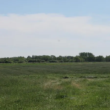 Boehler Haubarg Boehler Stuv 7 * Wittendun