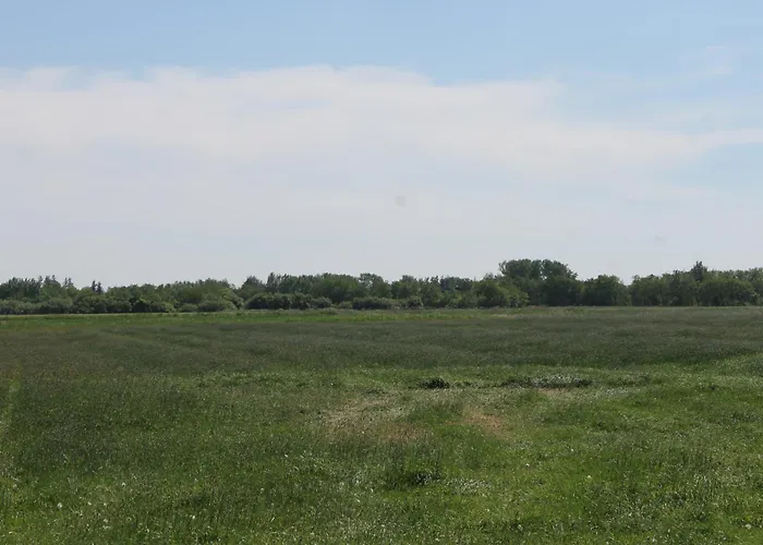 Boehler Haubarg Boehler Stuv 7 * Böhl